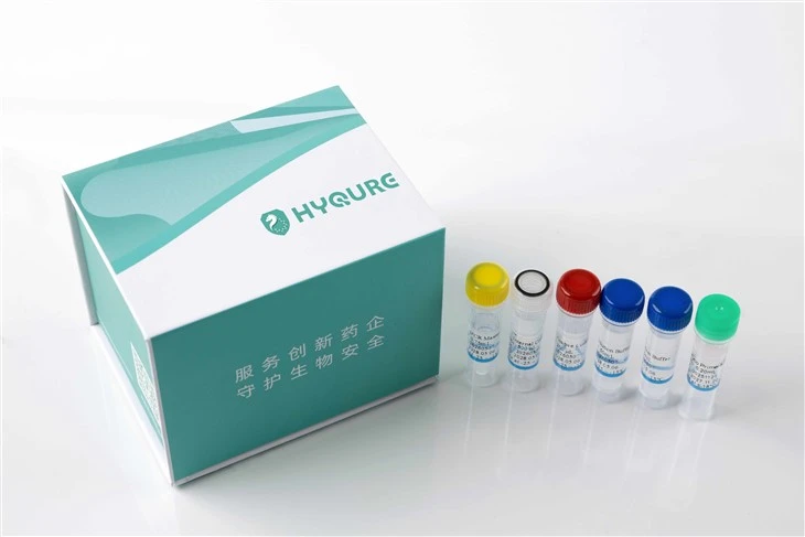Kit de detección de ADN de micoplasma (PCR-Método de sonda de fluorescencia) [HYM002]